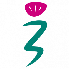 CHSS Logo Thistle
