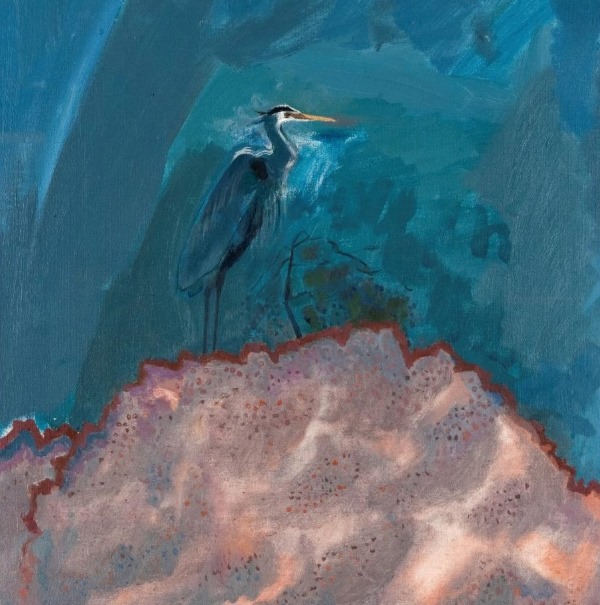 David Michie - Great Blue Heron