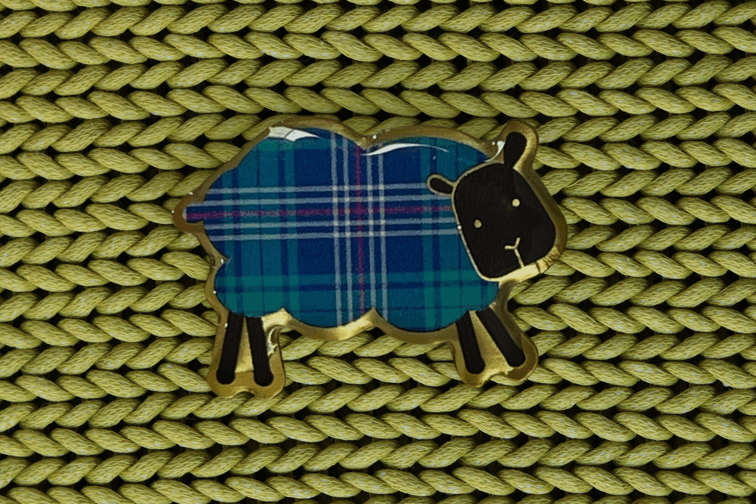 Tartan sheep pin badge