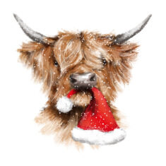A Christmas Coo