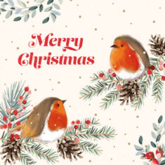 Christmas Robins