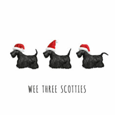 Three Scotties