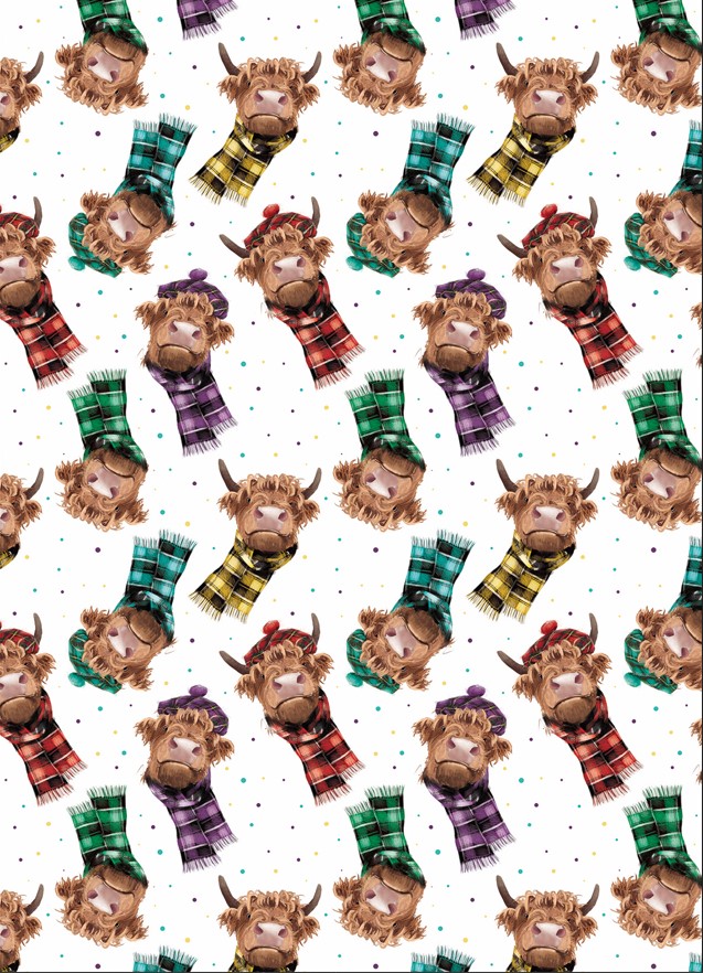 Colourful Coo's Gift Wrap