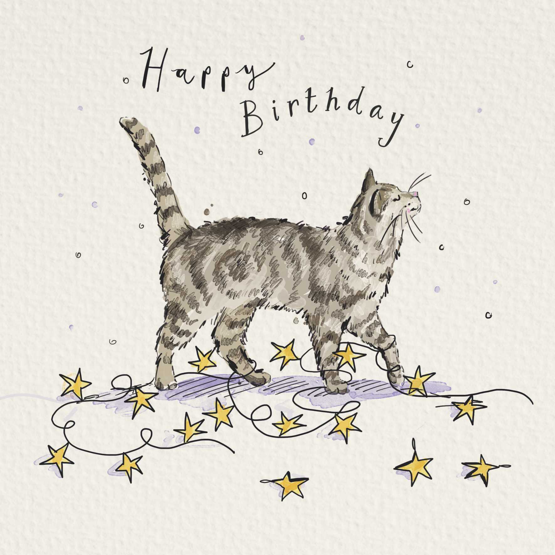 Birthday Cat