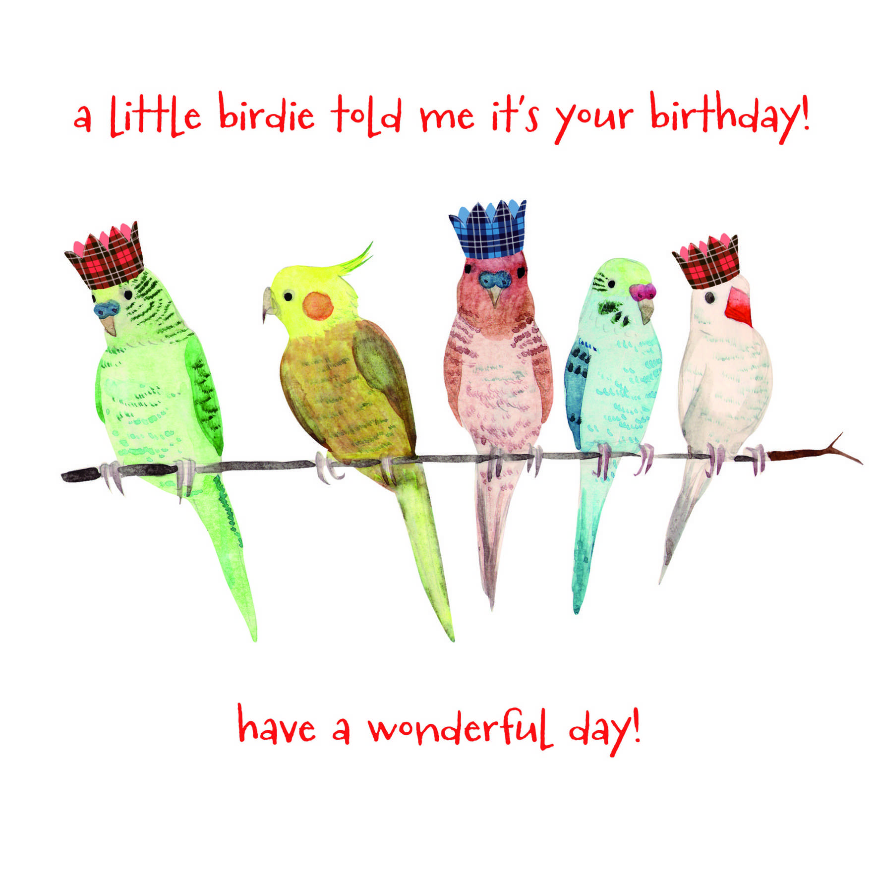 Birthday Budgies