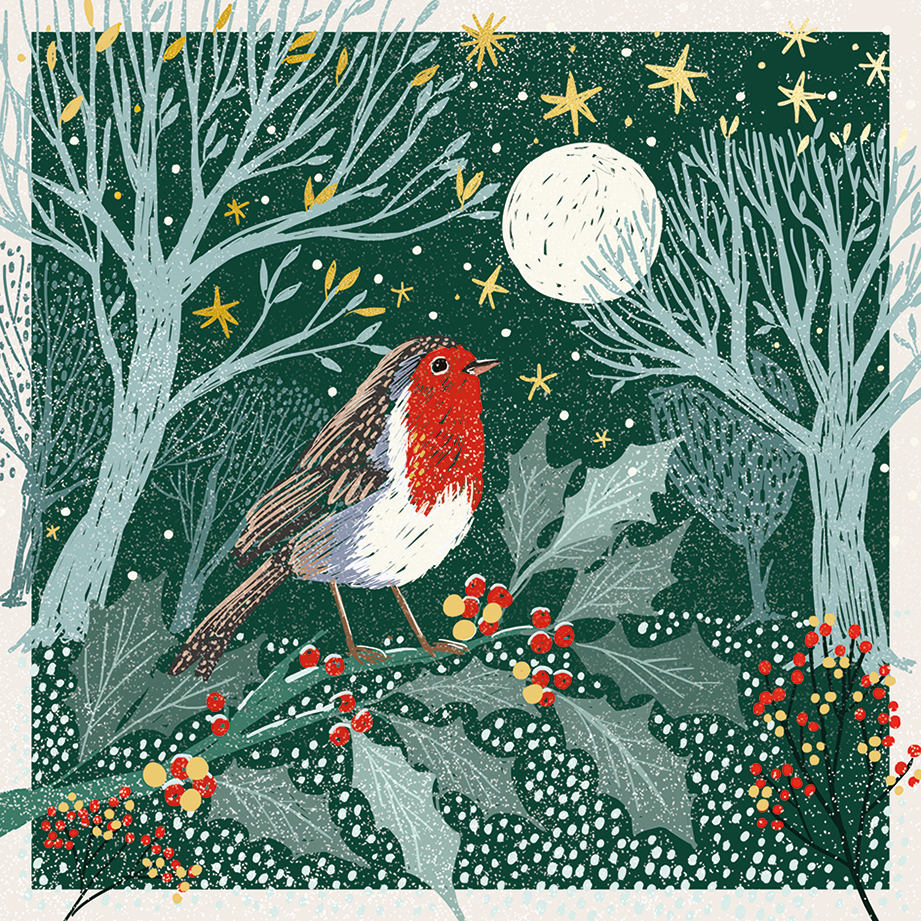 Moonlight Robin