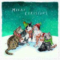 Christmas Cats