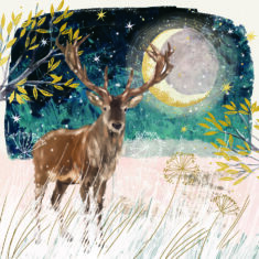 Moonlit Stag
