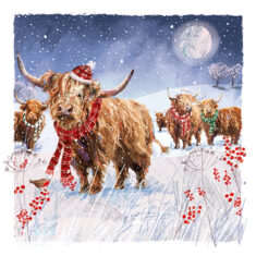 The Highland Herd