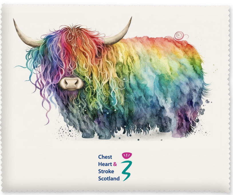 The Highland Rainbow Coo Screen/Lens Cloth