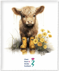 Spring Coo Screen/Lens Cloth