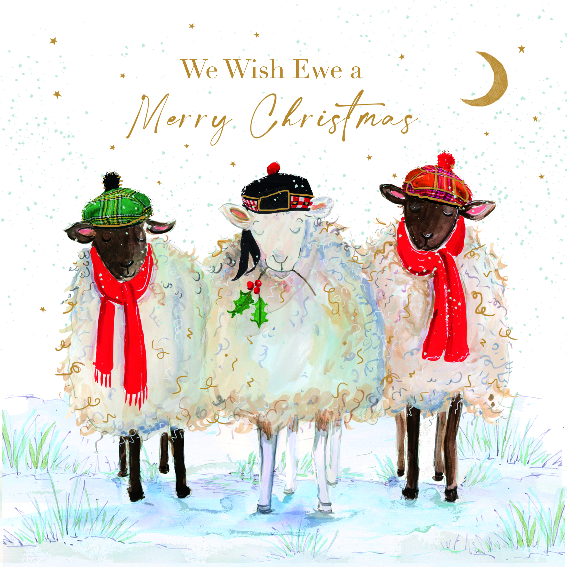Wish Ewe a Merry Christmas by Kirsty R. Walker