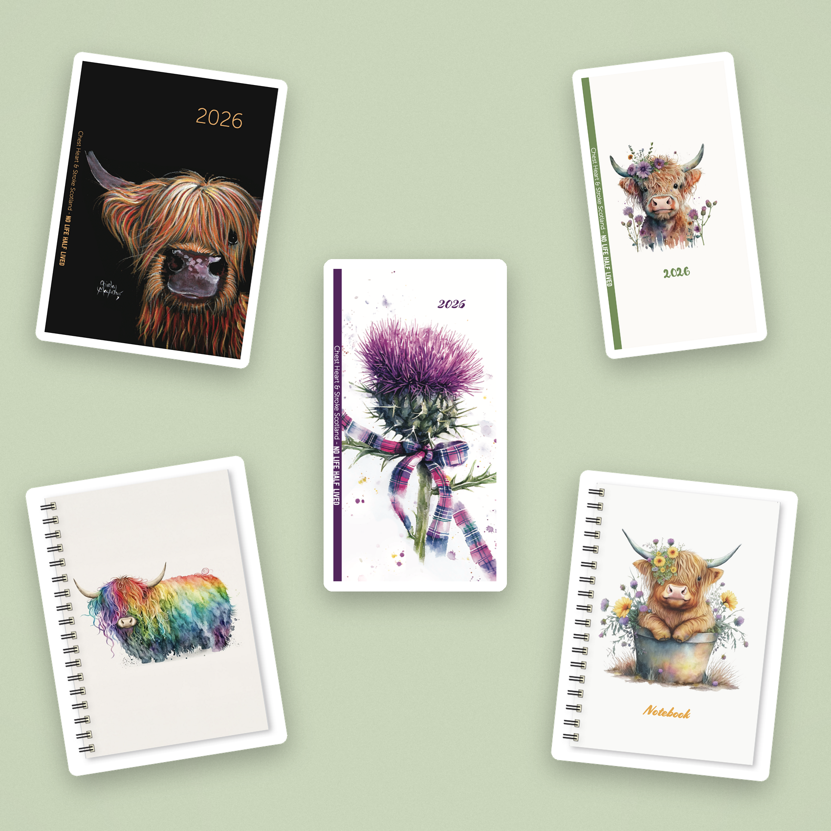 Diaries & Notebooks