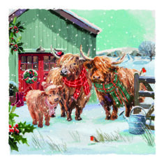Farmyard Coos