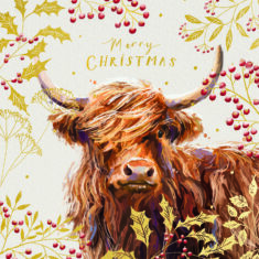 Ornate Coo