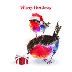 Fluffy Robins with Present
