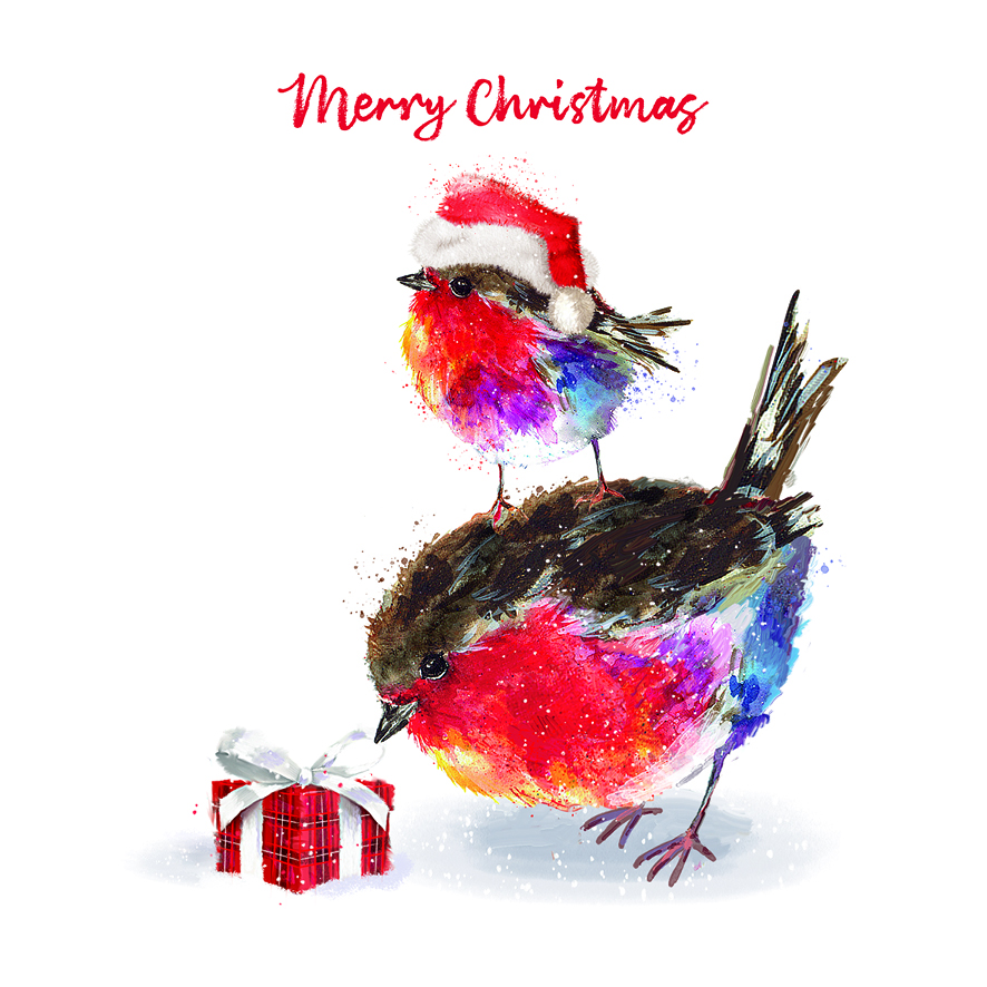 Fluffy Robins with Present