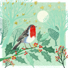 Moonlit Robin
