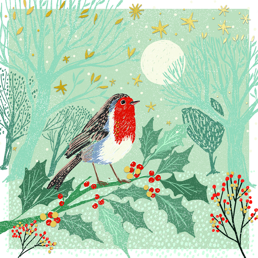 Moonlit Robin