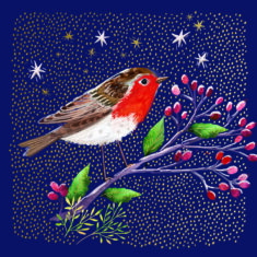 Midnight Robin