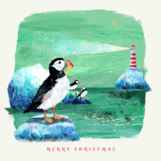 Christmas Coastline