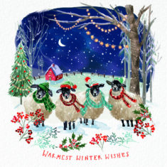 Warm Wooly Wishes