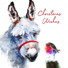 Donkey and Robin