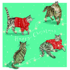 Christmas Cat Capers