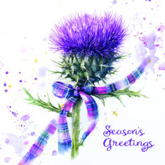 Thistle Greeting