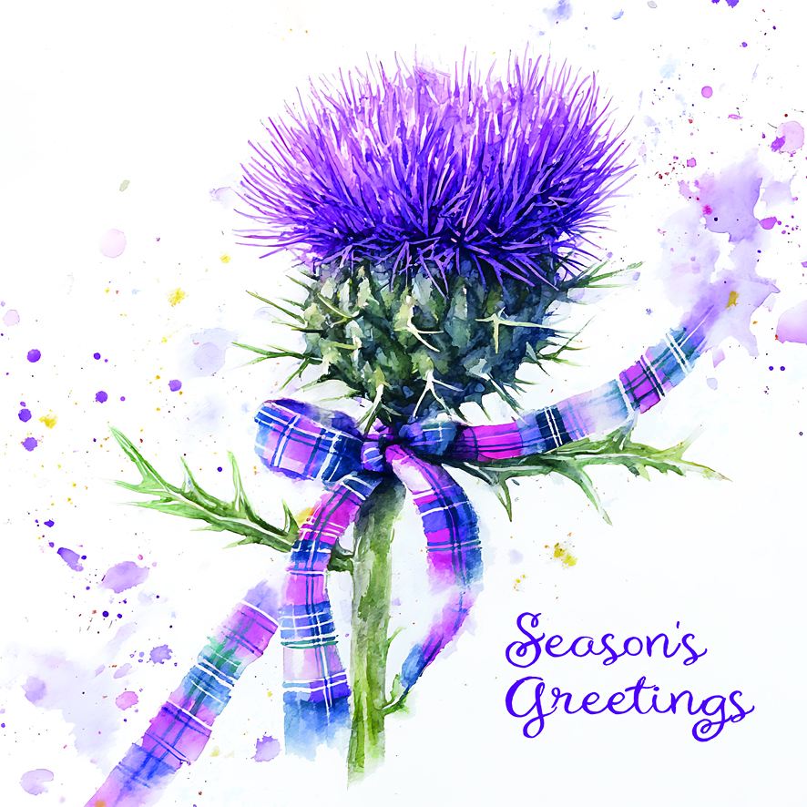 Thistle Greeting